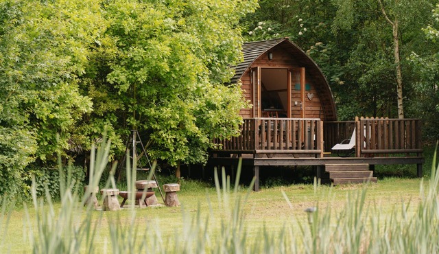 Woodland Getaway in a Cosy Cabin