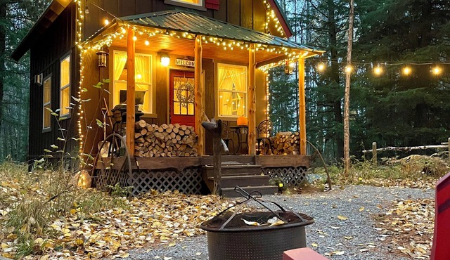 Woodland Hideaway Cozy Cabin in the Woods, Peaceful, Charming & Pet-Friendly