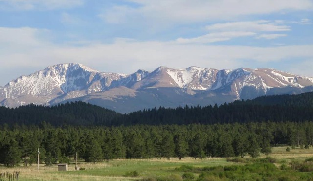 Woodland Park Retreat Mountain Views, Crisp Mountain Air, Wildlife Viewing
