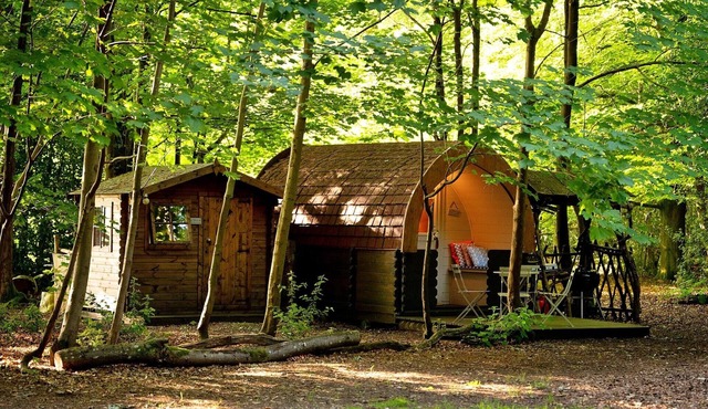 Woodland Pod near Highclere Castle