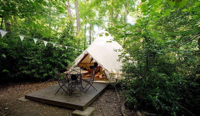 Woodland Pod near Highclere Castle