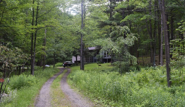 Woodland Privacy close to Cornell and Ithaca College