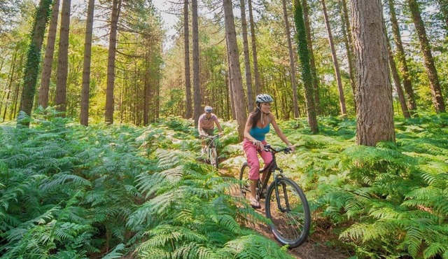 Woodland Rustic 2 Bed