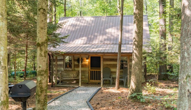 Woodland view-Blue Log Cabin