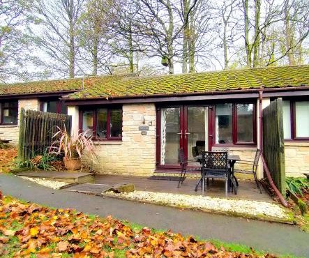 Woodland View - Families & Pets