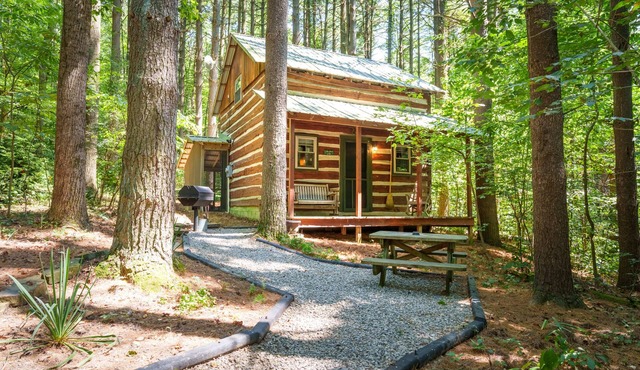 Woodland view-Green Log Cabin