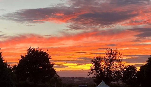 Woodlands Basic Bell Tent 2