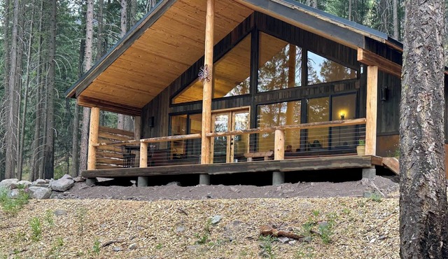 Woodlands Nest - modern cabin in the woods