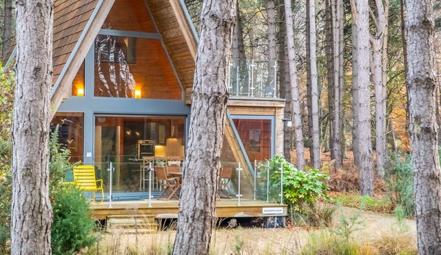 Woodpecker, Weybourne, Norfolk