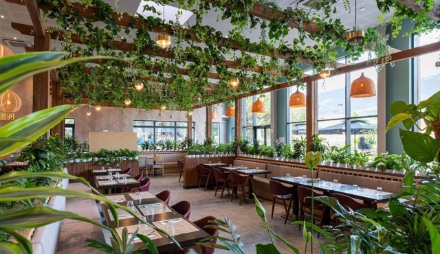 Woods Hôtel Genève - Thoiry