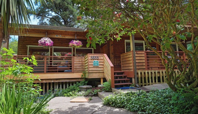 Woods & Waves: Luxury Coast Cabin, King Beds, Pets