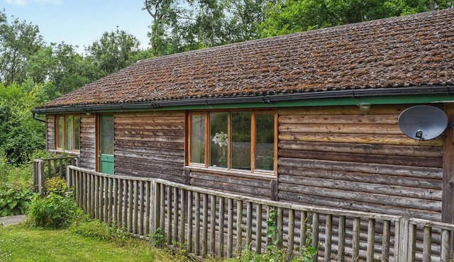 Woodside Fishery - Coots