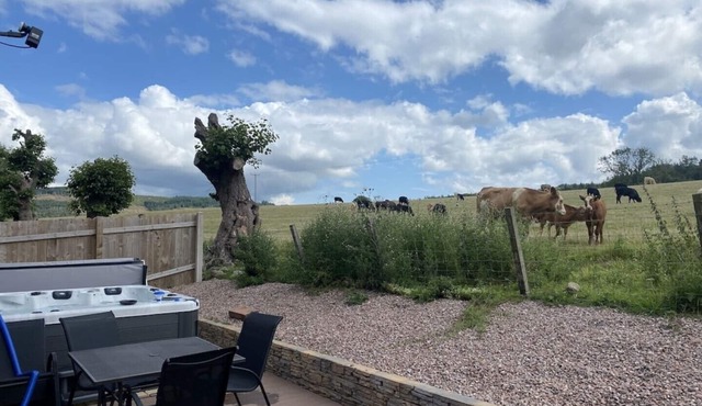 Woodside Lodge with Private Hot Tub!