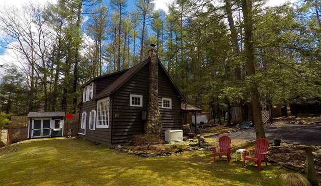 WOODSTOCK SUMMER CHARMER: HIKING, NATURE, ELEPHANT ART SANCTUARY. AUGUST AVAIL