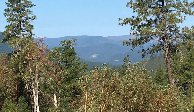 Woodsy and serene guest quarters across from river fishing and swimming