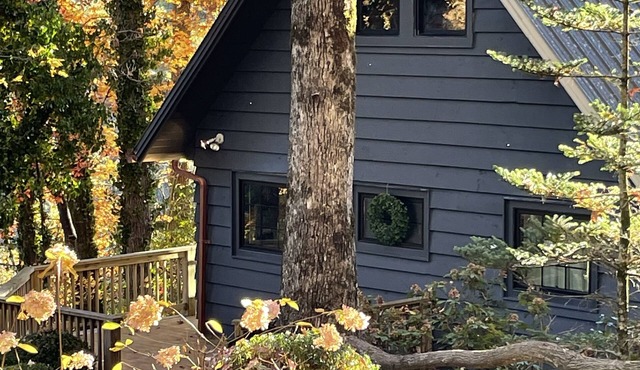 Woodsy Cabin @ Lake Glenville- minutes to marina & brewery