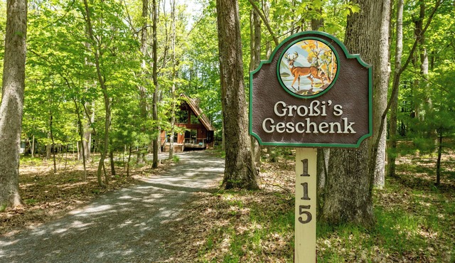 Woodsy Dog Friendly Retreat w/Lake Access