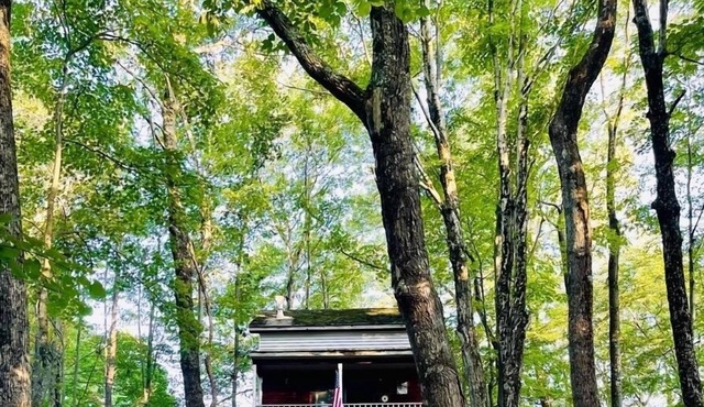 Woody’s Treehouse Hideaway In French Creek,W.Va great deer hunting