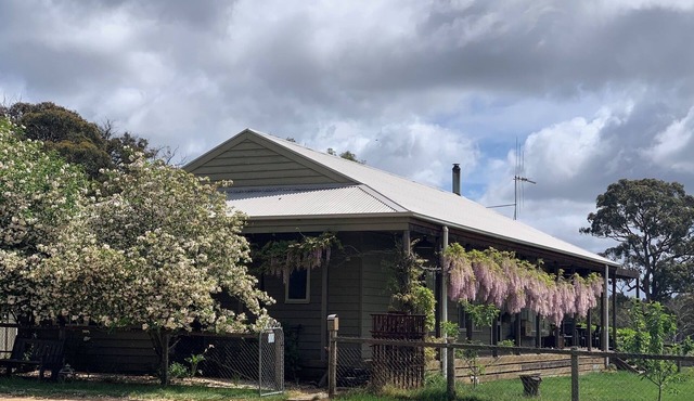 Woolly Slopes on Dja Dja Wurrung Country