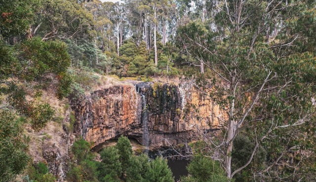 WOOLSHED HOUSE, SPRINGHILL
