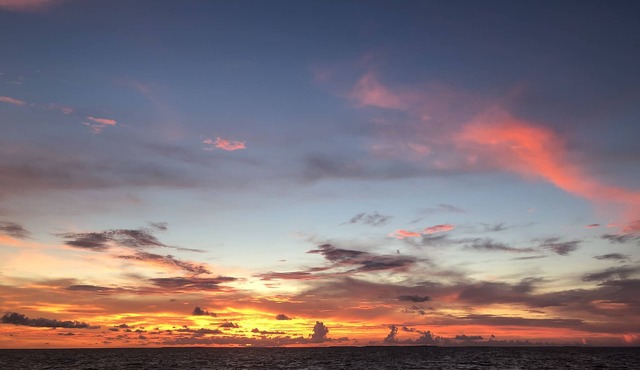 Work remote, or not at all, in paradise at this cozy, beachy condo!