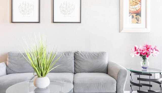 Work Remotely in this Affordable 1 Bed 1 Bath!