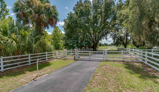 WORKING HORSE FARM 20 MIN TO wec,5 MIN TO OCALA JOCKEY CLUB,20 MIN TO GAINSVILLE