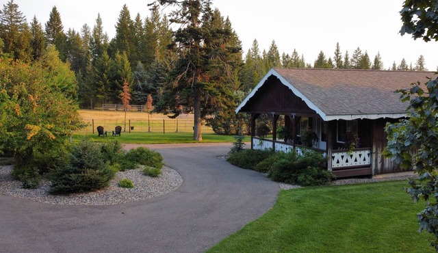 Working Llama Farm Experience Located Just 30 Minutes From Glacier National Park