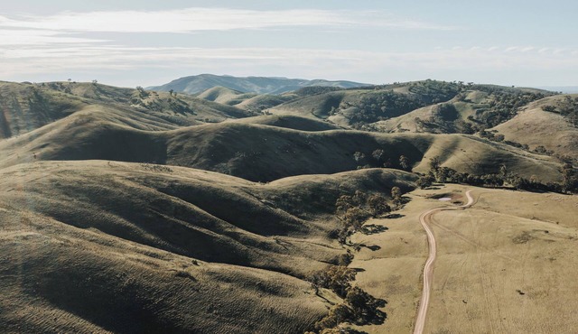 Working Merino Farm Stays in Horrocks Pass, Flinders Ranges