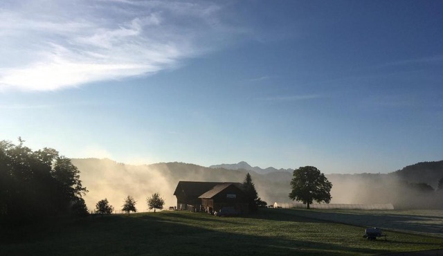 Working Organic Farm Retreat