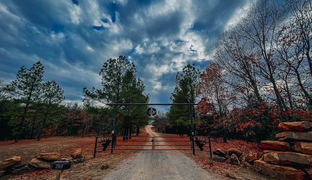 Working Ranch on 320 acres. Deer, Trails, Buffalo, Ponds, Rams, Views, Can-Ams!!