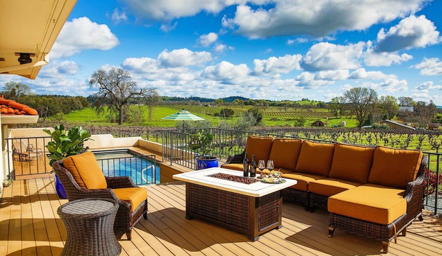 Working Vineyard & Private Pool: Villa in Plymouth