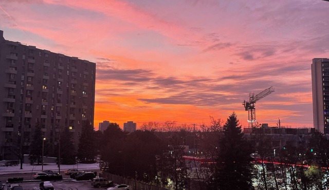 World Cup HQ! 1250 sq ft, 2 Bdrm/2 Bathrm on TTC, 20 mins from dwntn w/parking