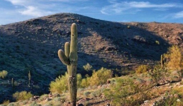 WorldMark South Mountain Preserve - 3 Bedroom