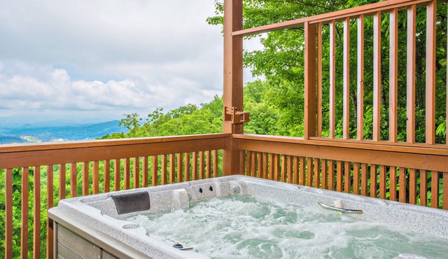 Worth The Climb, bears and Views!