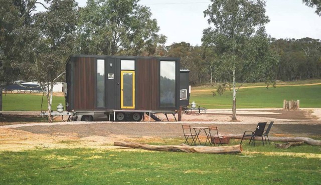 Wren at Sheltered Paddock by Tiny Away