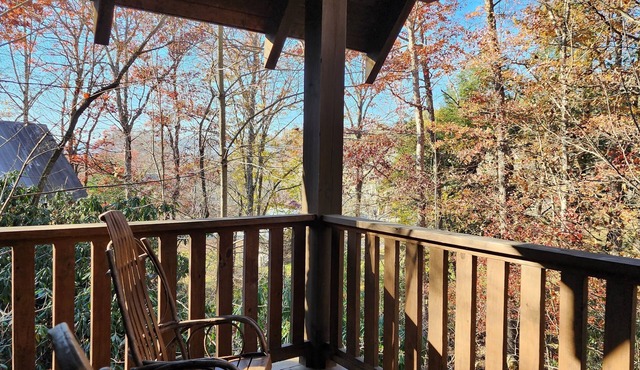 Wren’s Den | Cozy Cabin w/Fireplace + Jetted Tub + Biltmore Pass