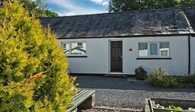 Wrens Nest, Newcastle Emlyn