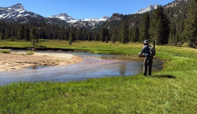 WWM Room 7A: Yosemite Base camp explore The E Sierras