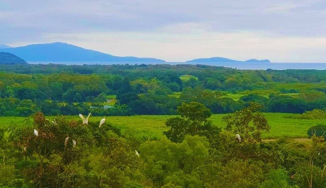 WYBALENA Entire Private Home, Ocean and valley views Tropical Oasis Pool Garden