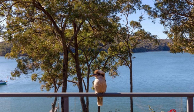 Wybalena - set on a deep-water frontage in North Arm Cove