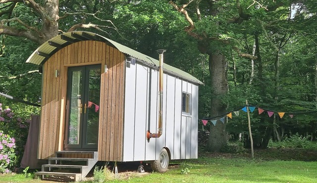 Wyldewood Retreat - Luxury Glamping with Wild Spa - Pet and Family Friendly!
