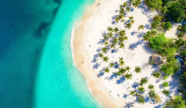 Wyndham Alltra Samana All-Inclusive Resort