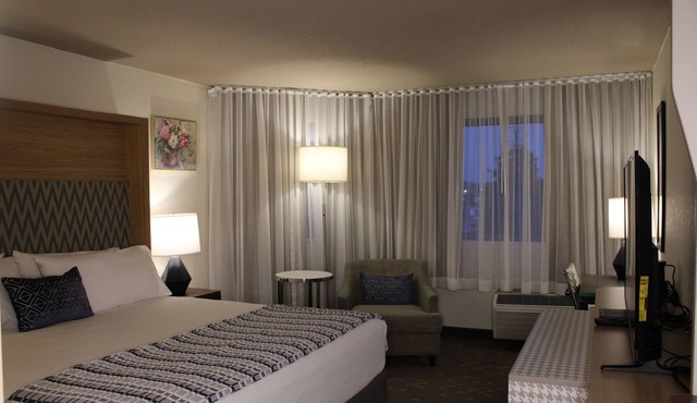 Wyndham Flint MI/Grand Blanc/Bishop Airport/Conference Ct