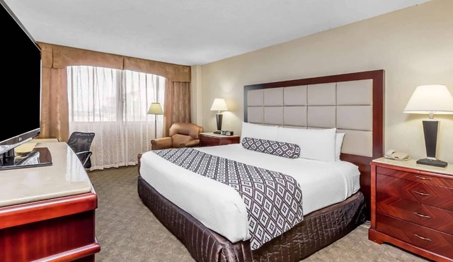 Wyndham Houston near NRG Park/Medical Center