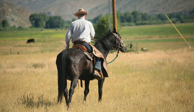Wyoming Ranch Experience with a Comfortable Cabin