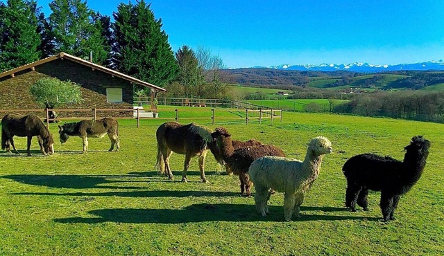 XIMISTA - BARDOS - Gîte