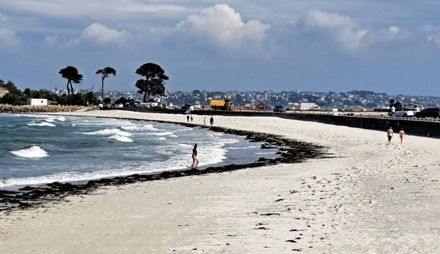 XXL holiday home directly by the sea