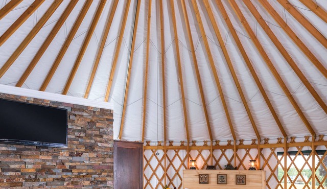 Yale Manor B&B and Yurt Glamping