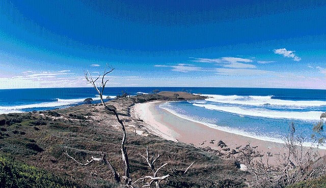 Yamba Central - Hostel